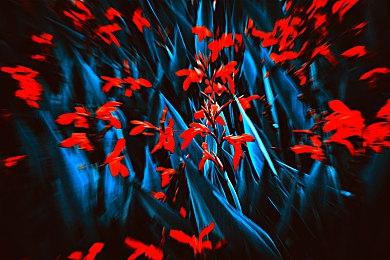 《最后的生还者》PC版DLSS3帧生成Mod演示